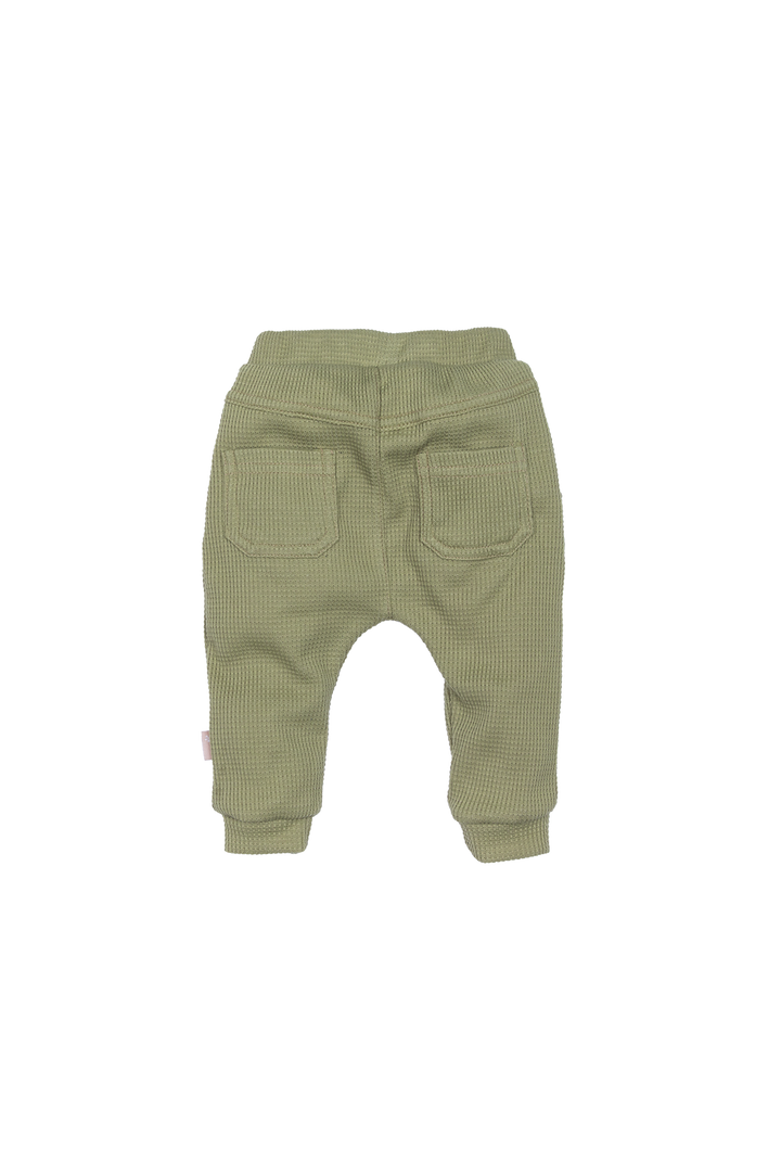 Hose Jog Olive