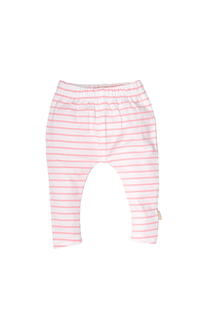 Legging Striped Pinstripe Pink