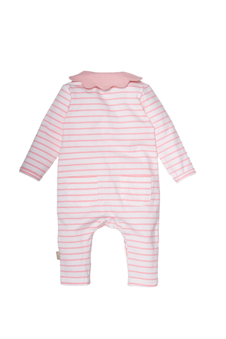 Boxpak Collar Striped Pinstripe Pink