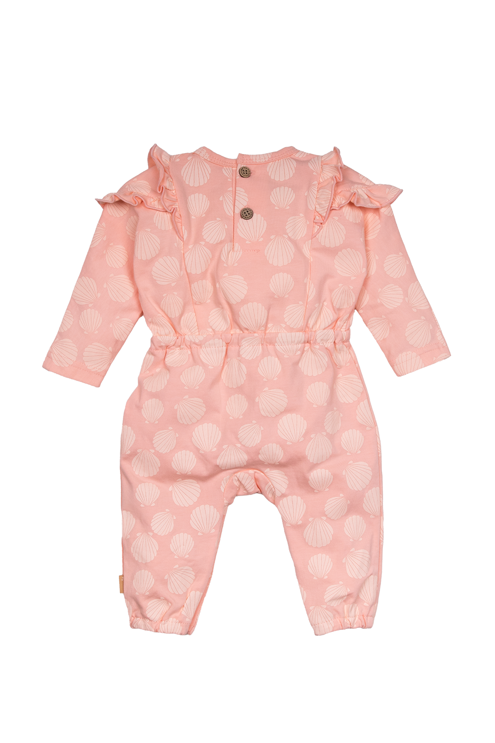 Boxpak Shells Muster