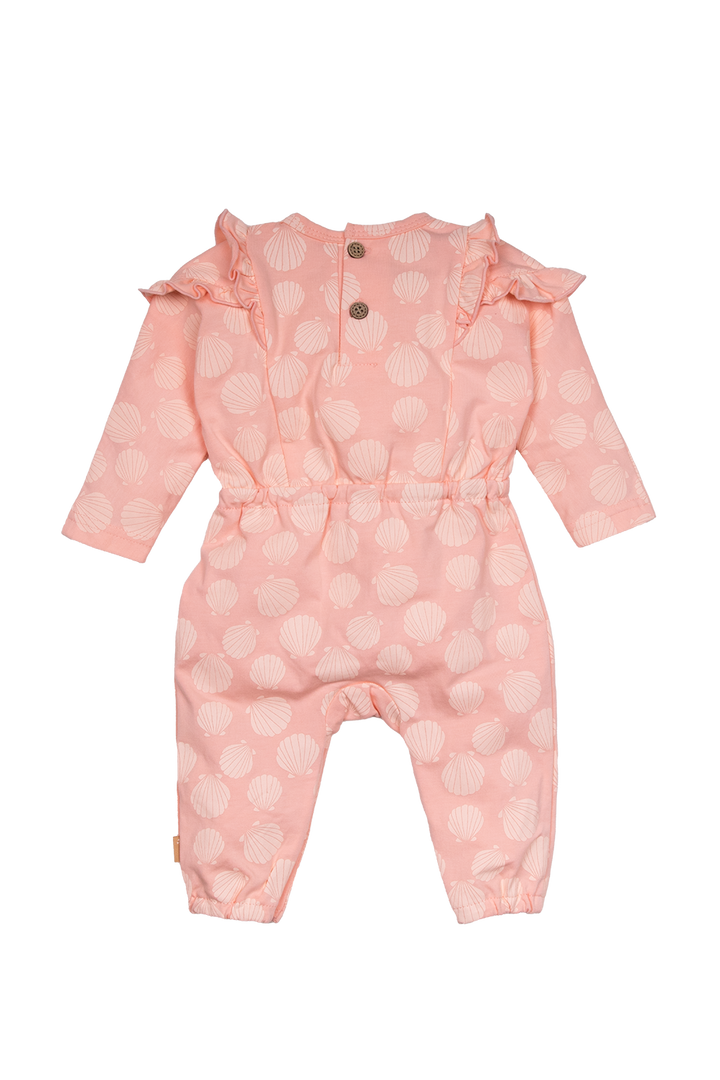 Boxpak Shells Muster