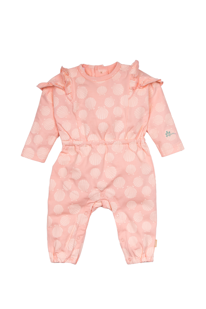 Boxpak Shells Muster