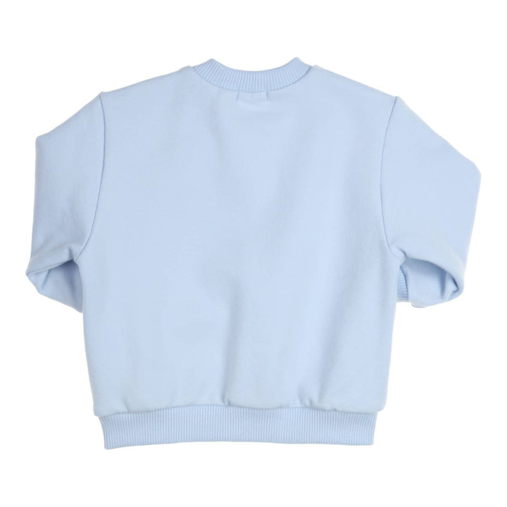 Trui Carbondoux Light Blue