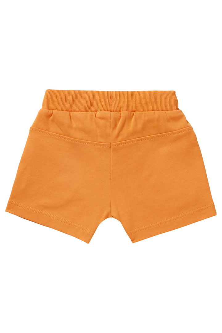 Korte broek Branch Tangerine Oranje