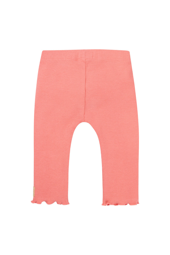 Legging Maeser Shell Pink ROZE