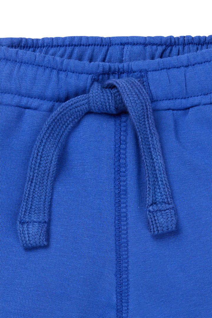 Broek Ocre regular fit Dazzling Blue BLAUW