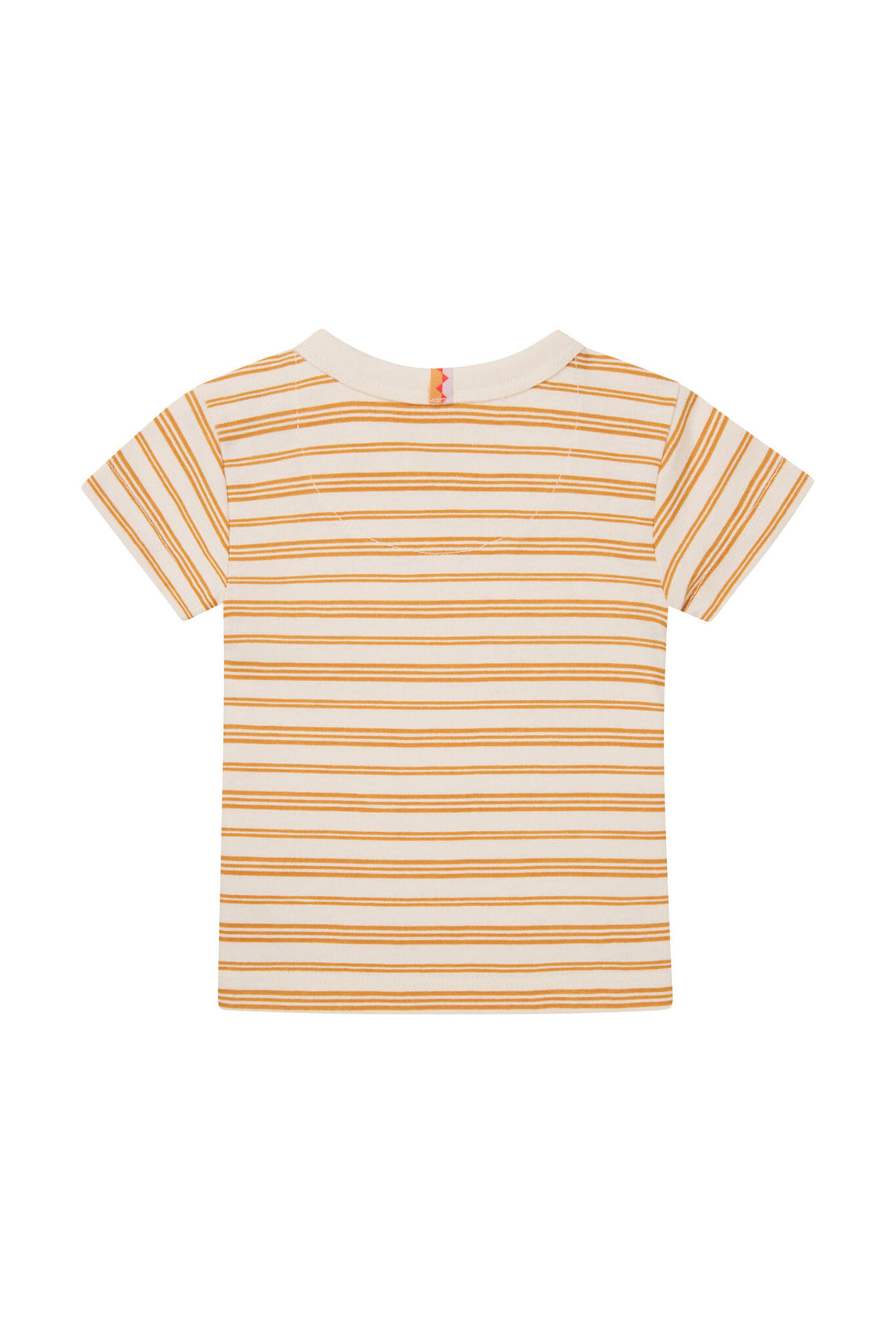 T - shirt Oxie Stripe Pattern WIT
