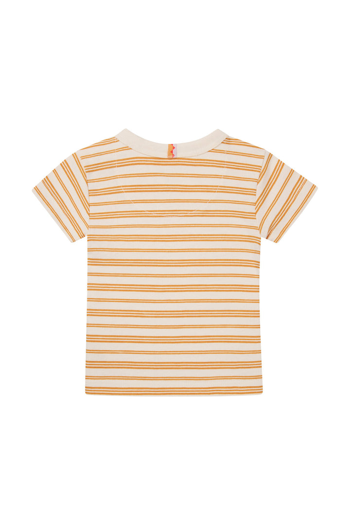 T - shirt Oxie Stripe Pattern WIT
