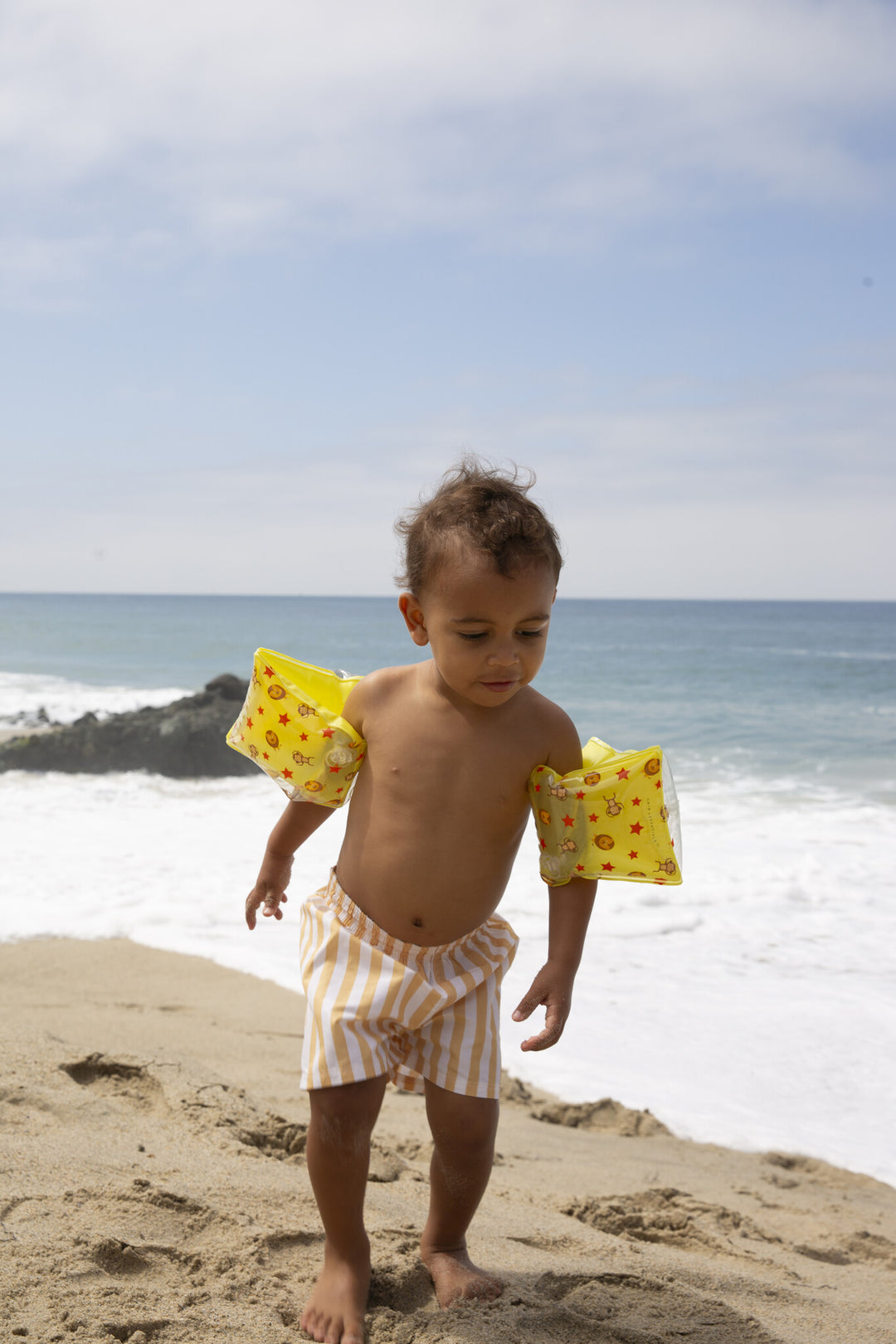 Zwembandjes 2 - 6 jaar Circus 17 x 9 x 18 cm 2 - 6 Jaar 15 - 30 kg