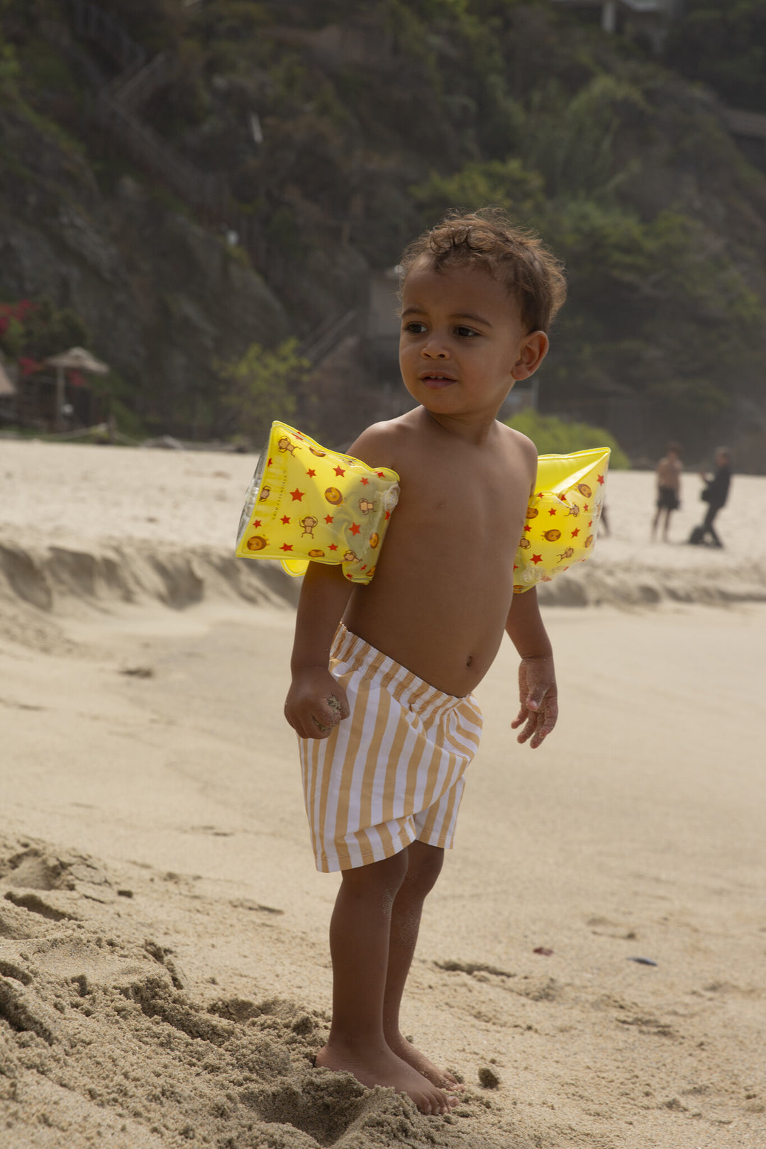 Zwembandjes 2 - 6 jaar Circus 17 x 9 x 18 cm 2 - 6 Jaar 15 - 30 kg