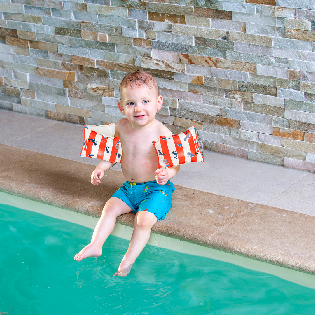 Zwembandjes 2 - 6 jaar Walvis Gestreept 17 x 9 x 18 cm 2 - 6 Jaar 15 - 30 kg