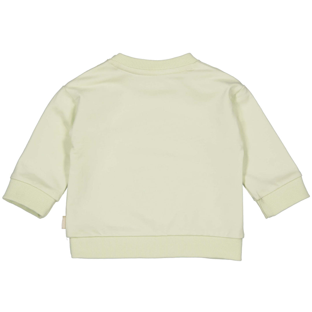 Pullover DAXQNBS24 Soft Green