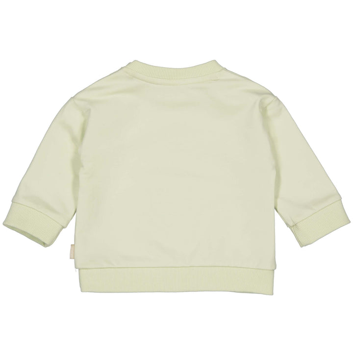 Pullover DAXQNBS24 Soft Green