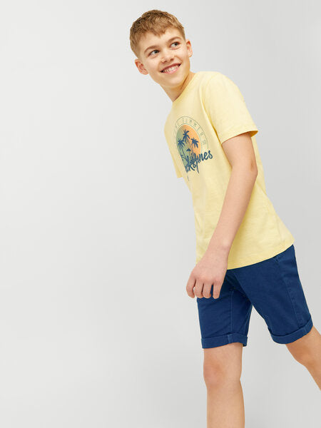 Mini Shorts DAVID Navy Blazer Regular Fit