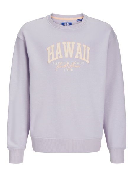 Kids trui DETROIT Languid Lavender Loose Fit