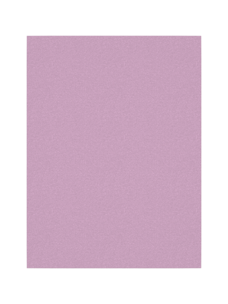 Mini onderbroek BRIEFS 3P PASTEL LILAC HORSE Pastel Lilac