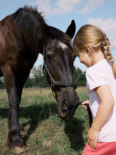 Mini top HANI Ballerina Standard Fit