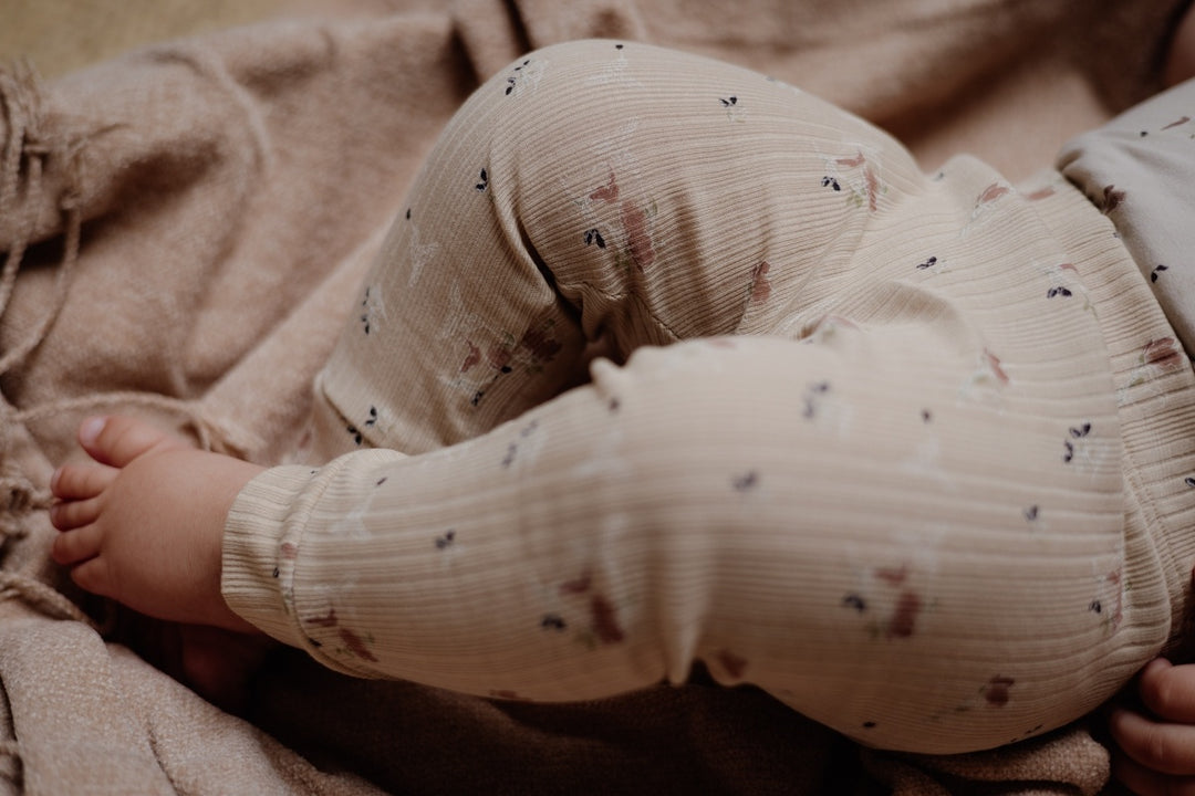 Hose GWIJDELNBS24 Blume