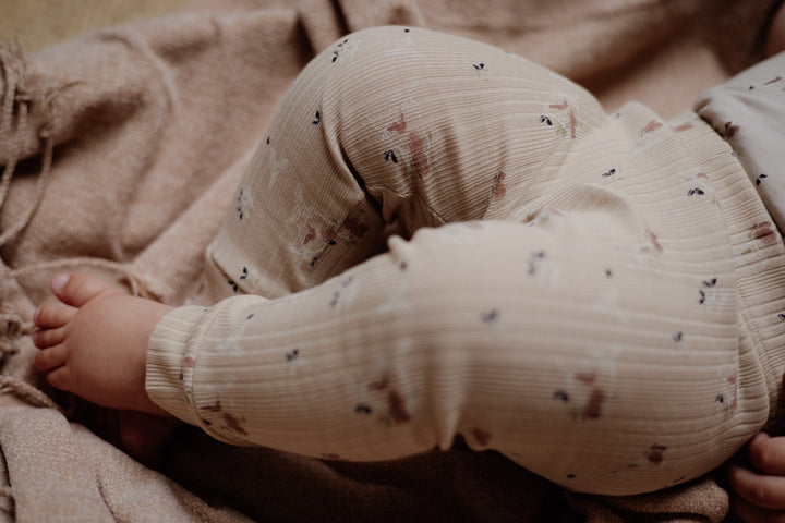 Hose GWIJDELNBS24 Blume