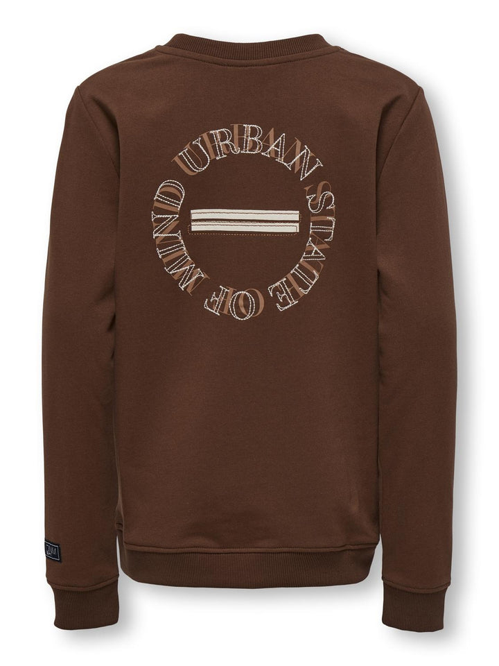 Trui MONTGOMERY Cappuccino Urban Regular Fit