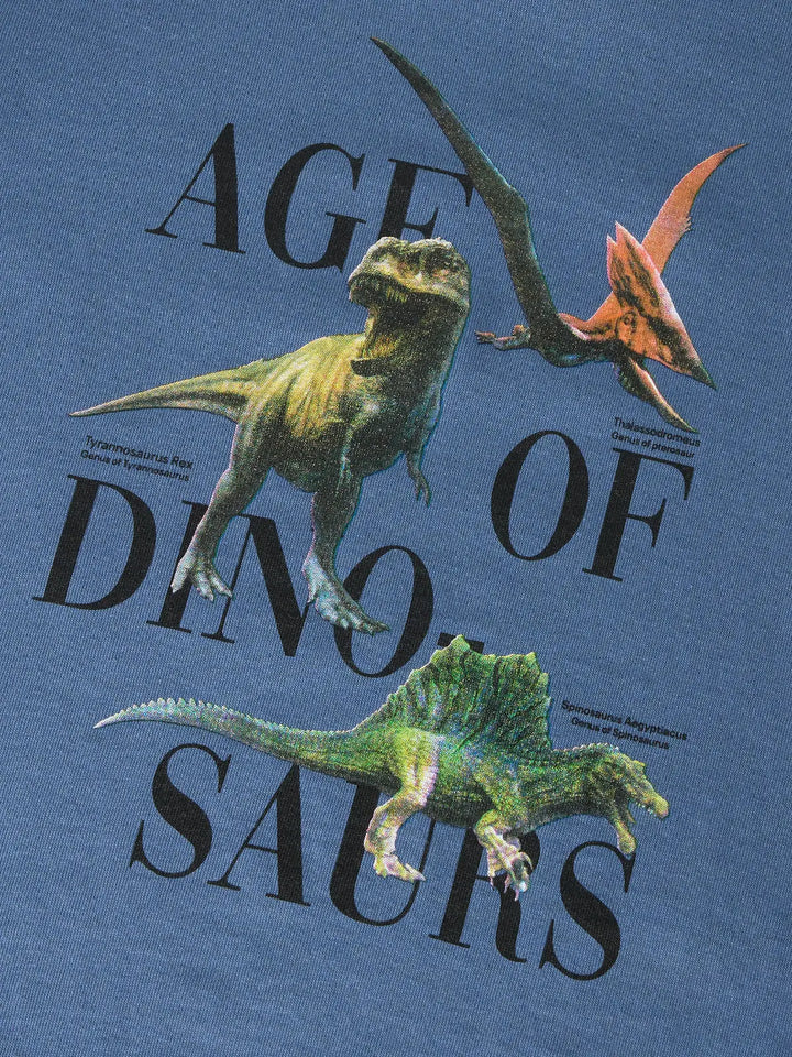 SIKKALAN t-shirt - blauw