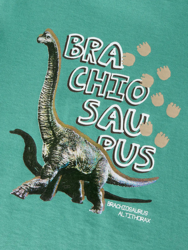 SIKKALAN t-shirt - groen