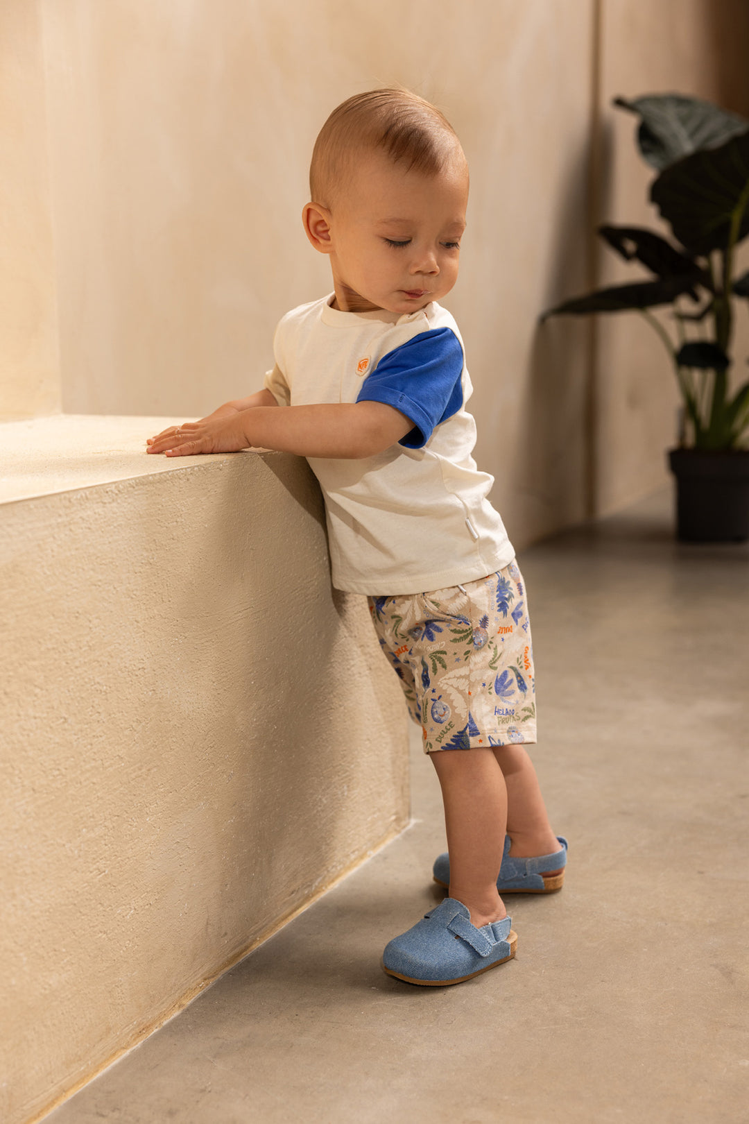 Short Othon Fruit pattern MULTICOLOR