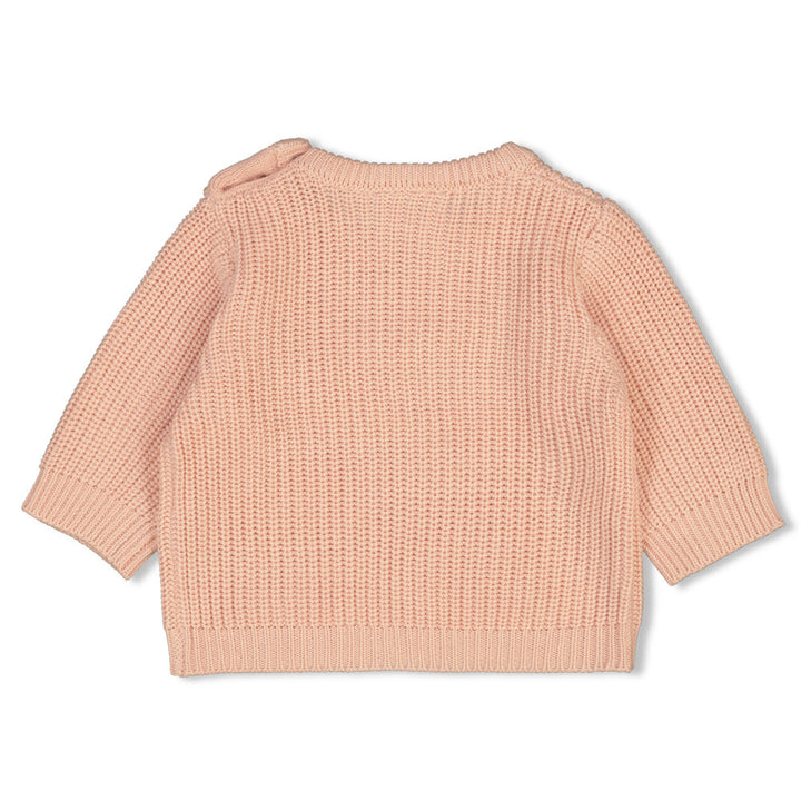 Sweater gebreid Roze - The Magic is in You