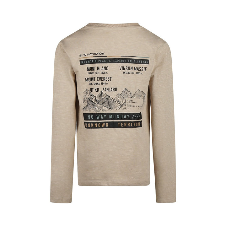 Longsleeve Light grey