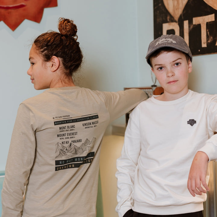 Longsleeve Light grey