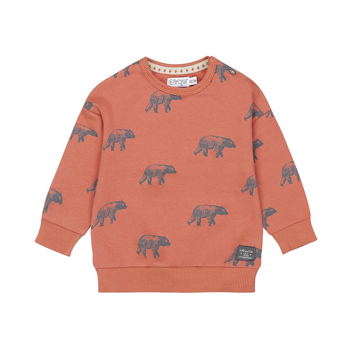 Trui with crew neck Rust - 03 Boys wildland