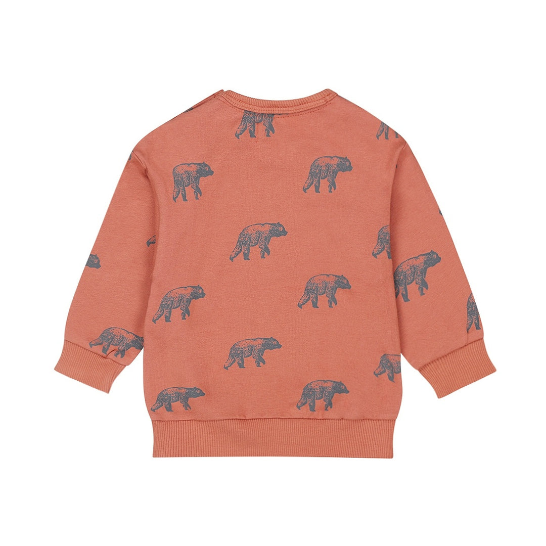 Trui with crew neck Rust - 03 Boys wildland