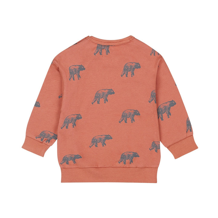 Trui with crew neck Rust - 03 Boys wildland