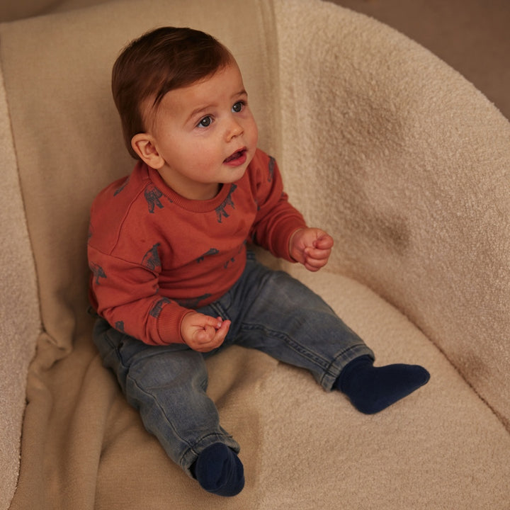 Trui with crew neck Rust - 03 Boys wildland