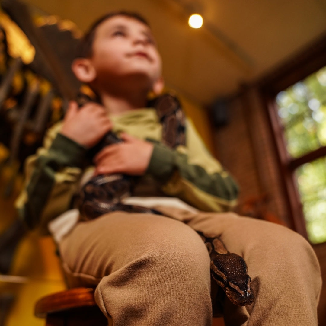 Trui with hood Dusty green