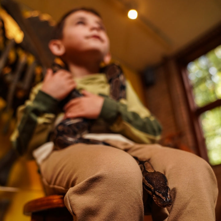 Trui with hood Dusty green