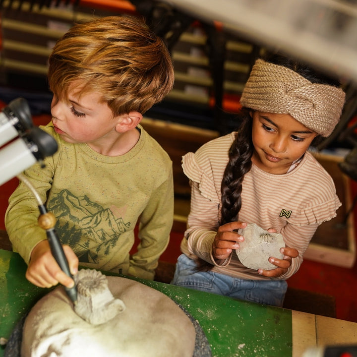 Longsleeve Dusty green