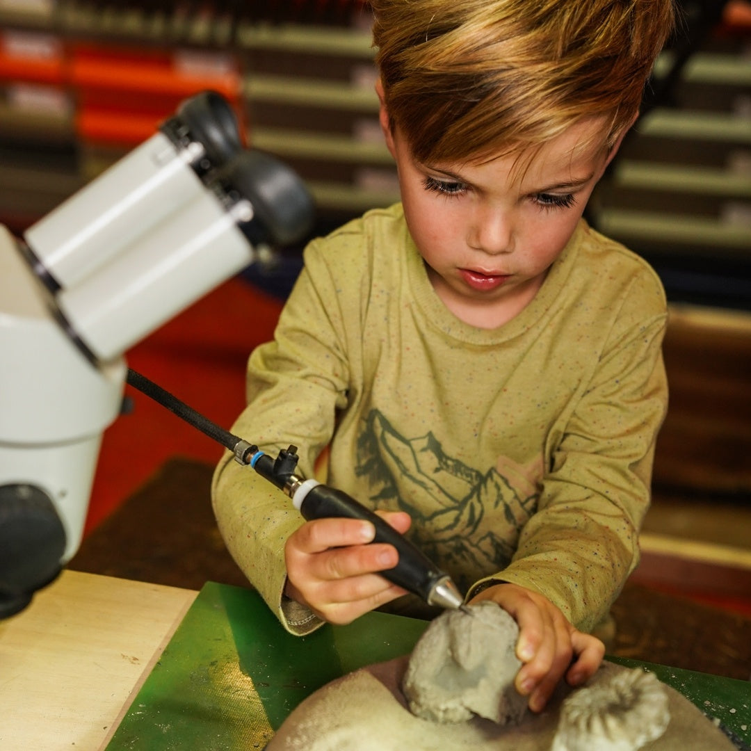 Longsleeve Dusty green