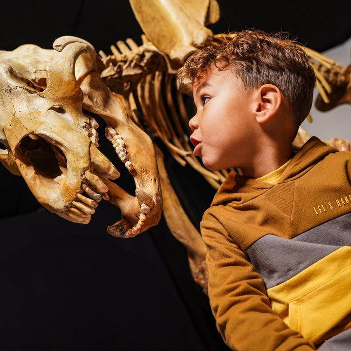 Pullover mit Kapuze Senf