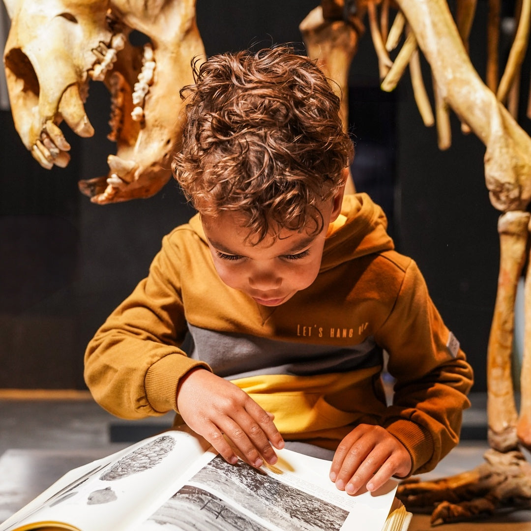 Pullover mit Kapuze Senf