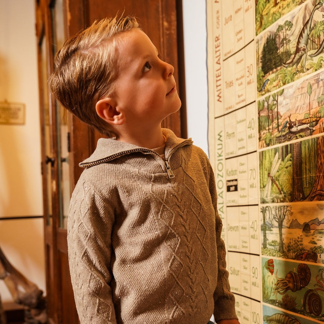 Pullover mit Kragen Taupe