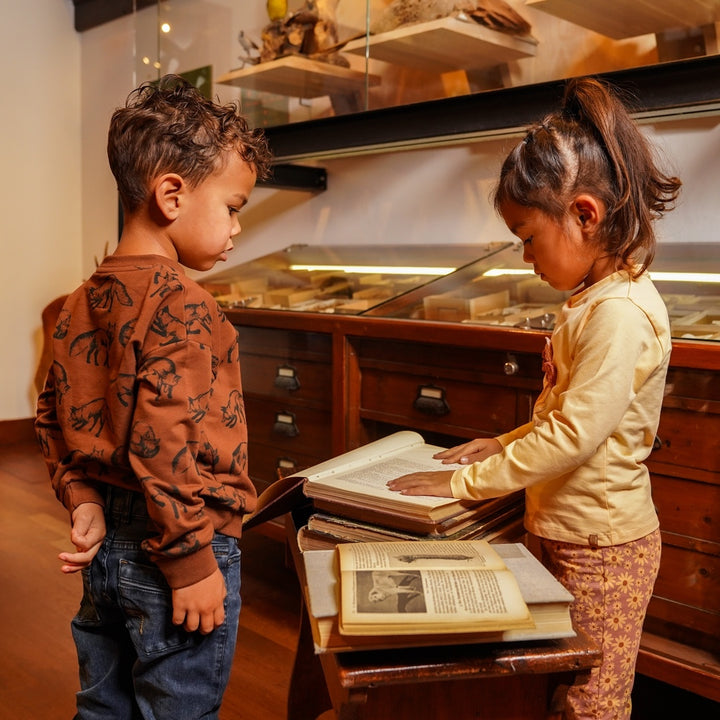 Trui dropped shoulder with crewneck Brown