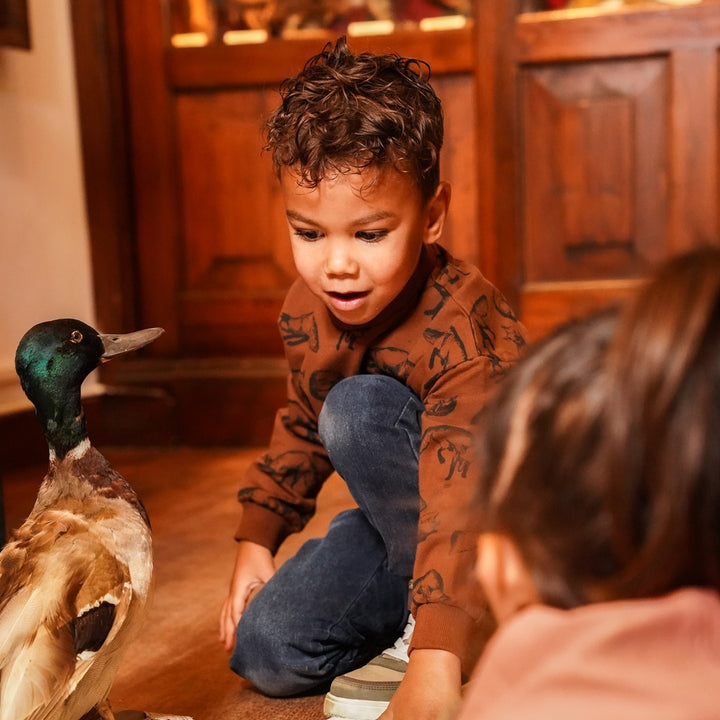 Trui dropped shoulder with crewneck Brown