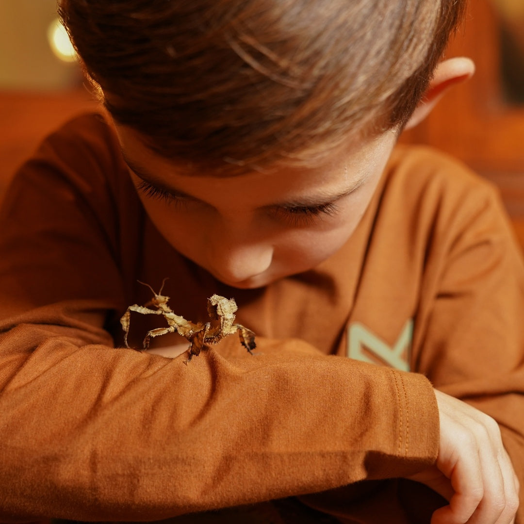 Longsleeve Dark brown