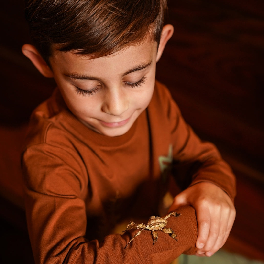 Longsleeve Dark brown