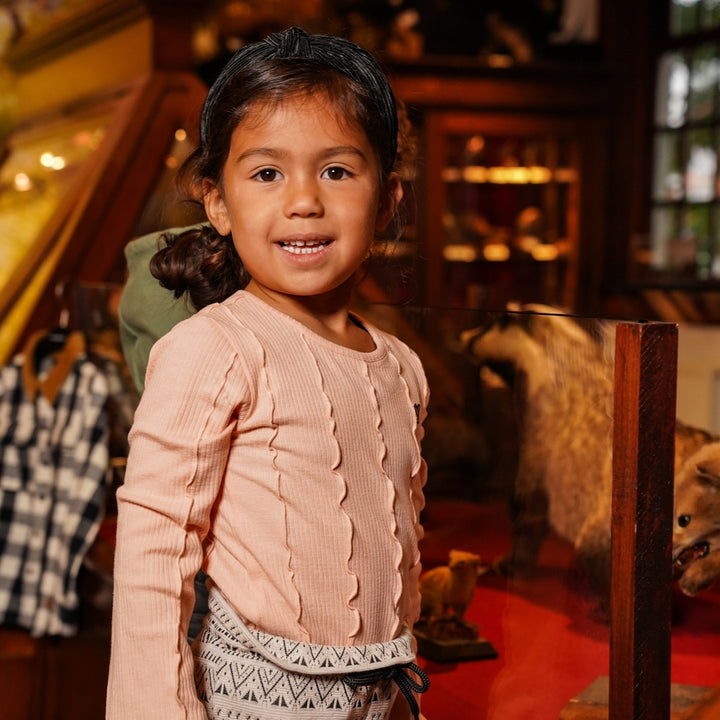 Longsleeve Dusty pink