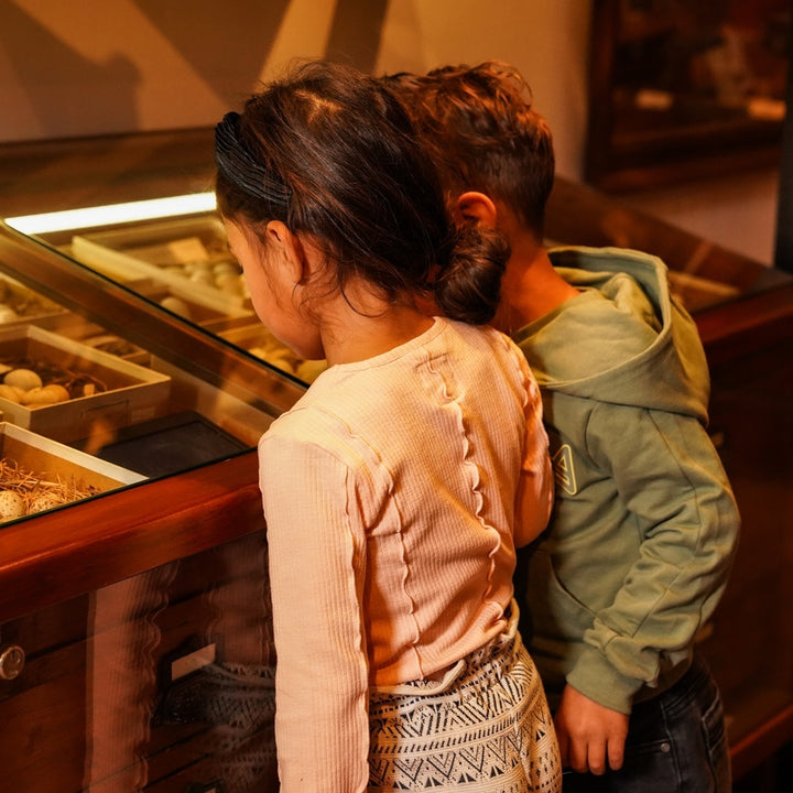 Longsleeve Dusty pink