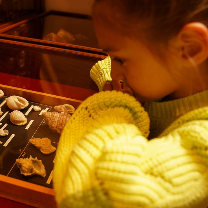 Pullover mit überschnittenen Schultern Limette