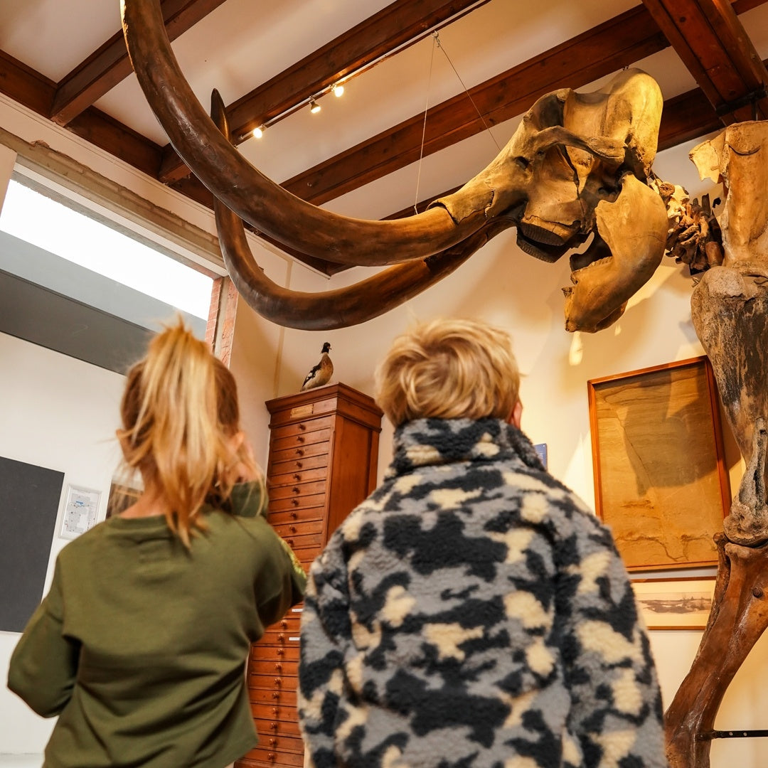 Trui dropped shoulder cropped Army green