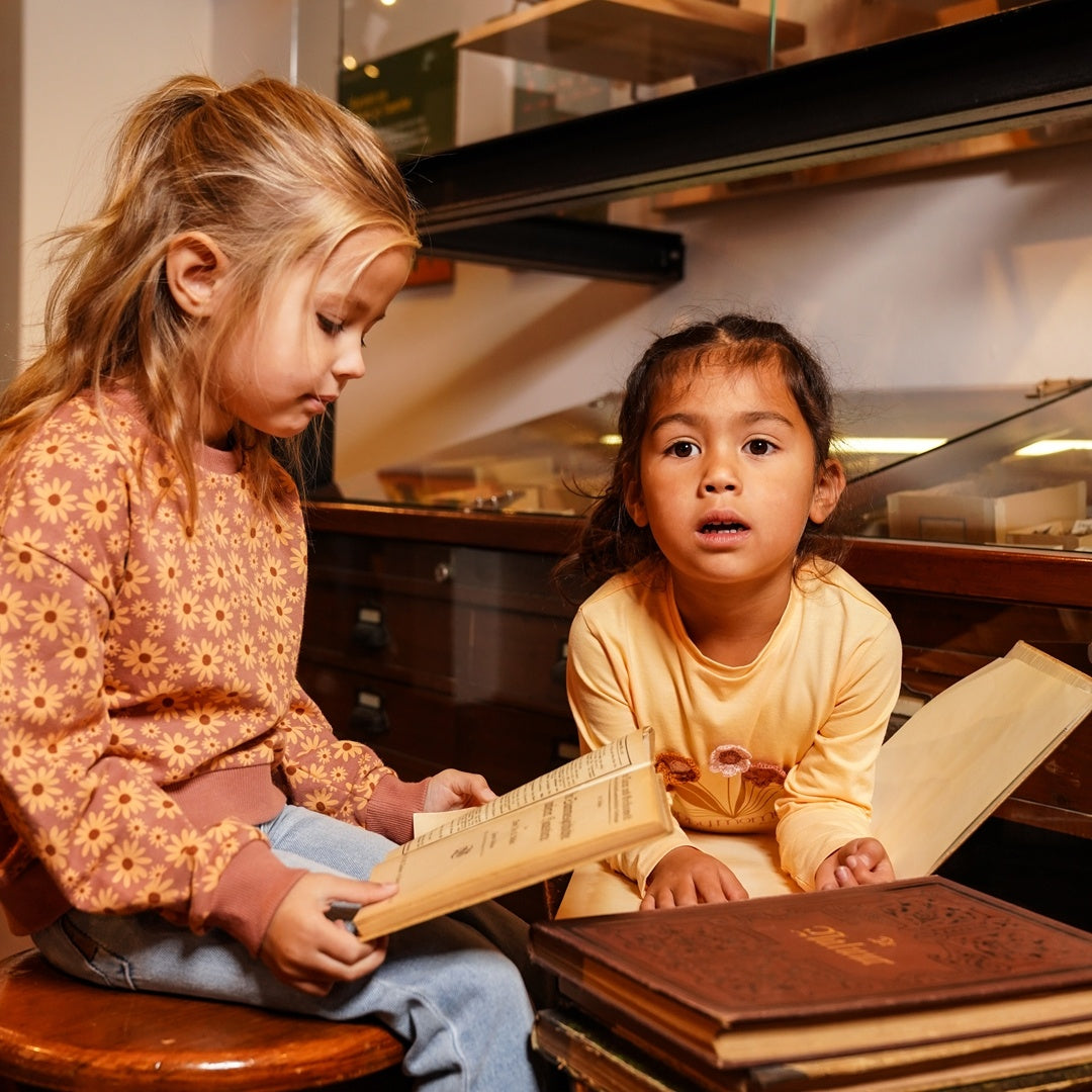 Trui dropped shoulder Dark old pink